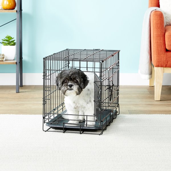 Paws & Pals Single Door Collapsible Wire Dog Crate, 20 inch slide 1 of 11