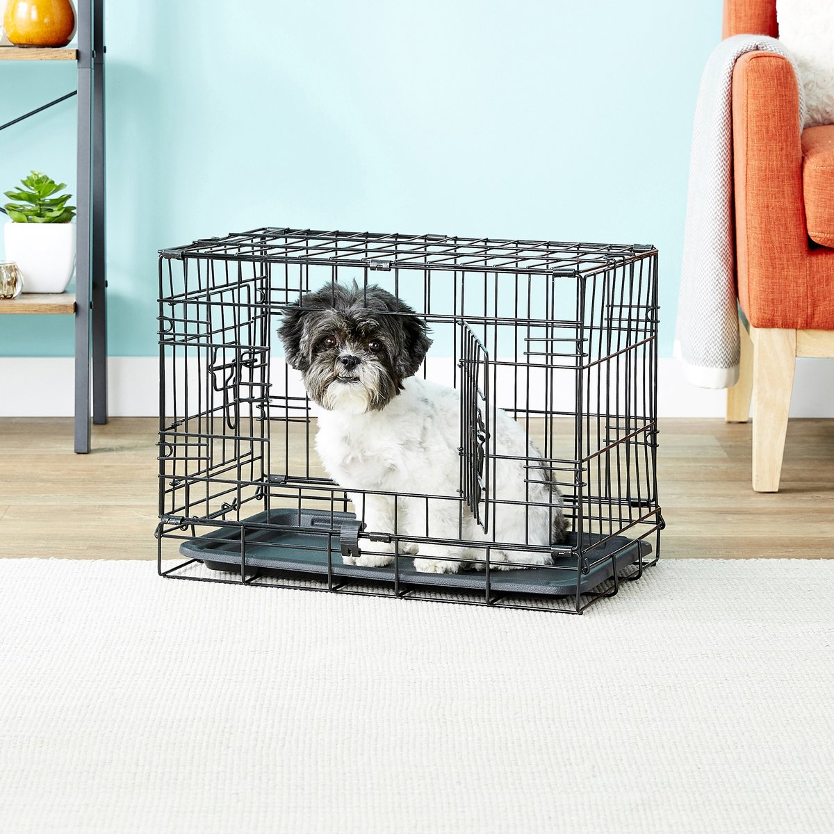 20 inch 2025 dog crate