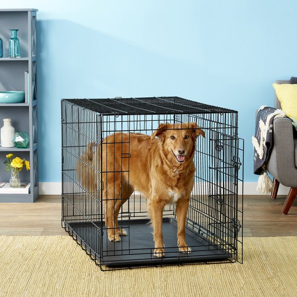 PAWS & PALS Oxgord Double Door Collapsible Wire Dog Crate, 42 inch - Chewy.com