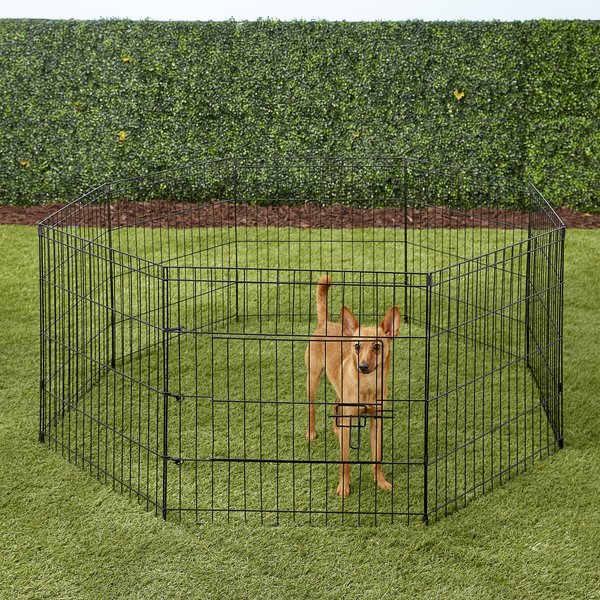 Paws & Pals Collapsible Wire Dog Exercise Pen, 24-in slide 1 of 9