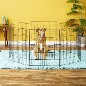 Paws & Pals Collapsible Wire Dog Exercise Pen, 30-in
