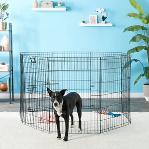 Paws & Pals Collapsible Wire Dog Exercise Pen, 36-in