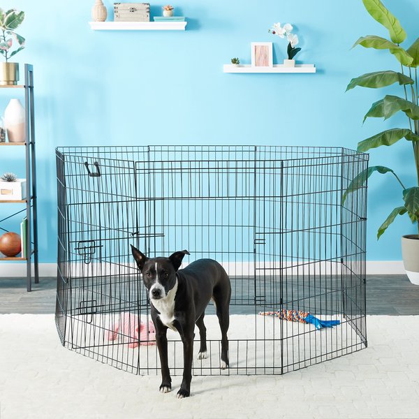 MIDWEST Wire Dog Exercise Pen with StepThru Door, Black ECoat, 36in