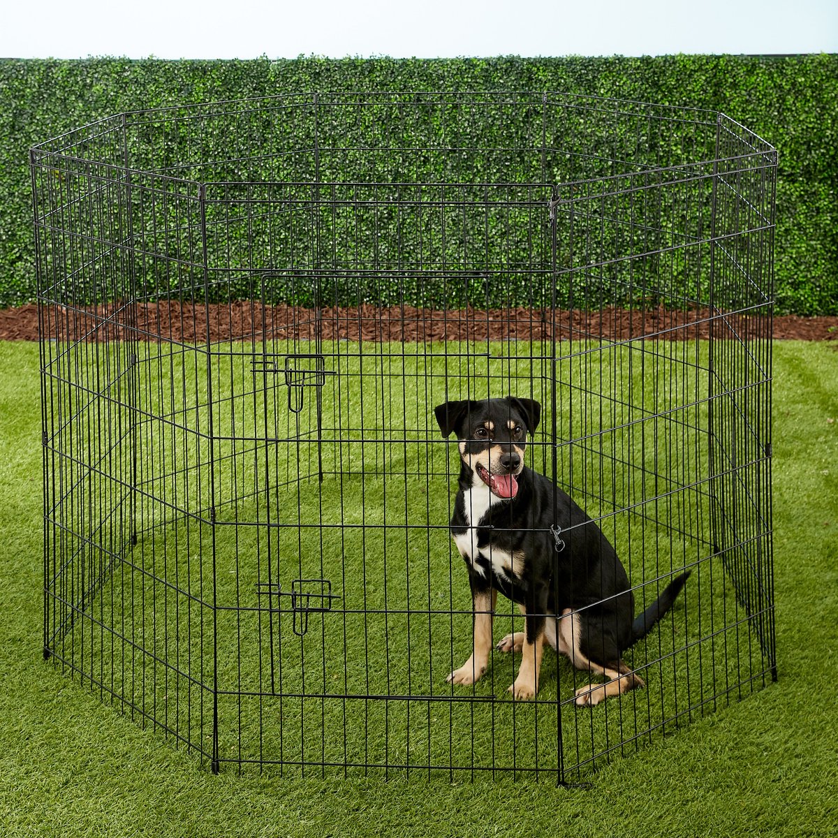 Paws & pals discount portable pet playpen