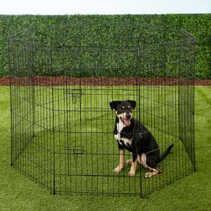 Paws & Pals Collapsible Wire Dog Exercise Pen, 42-in