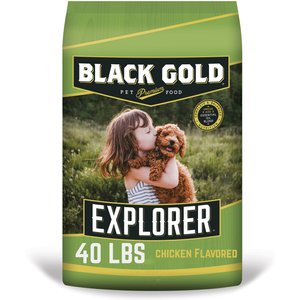 BLACK GOLD Explorer Original Performance 26 18 Dry Dog Food 50 lb bag Chewy