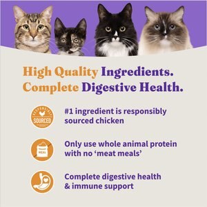 Halo Holistic Kitten Food Grain-Free Cage-Free Chicken Recipe Complete Digestive Health Dry Cat Food, 3-lb bag