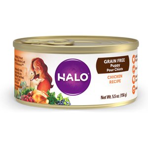 Halo Chicken Recipe Grain-Free Puppy Canned Dog Food, 5.5-oz, case of 12