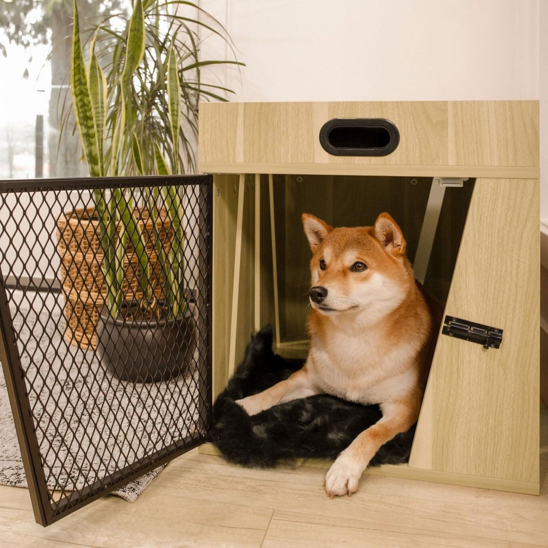 Designer Pet Products Lucky Kennels Penny Furniture Style Dog Crate, Light Wood/Oak, Small