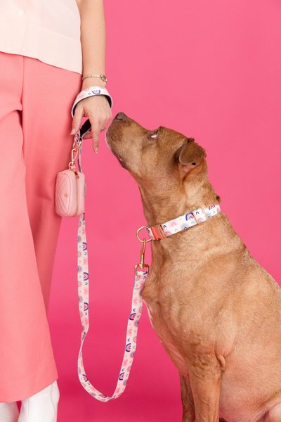 Pink Papyrus Dog Poop Bag Dispenser & Treat Pouch