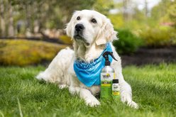 YAYA Organics Tick Ban Refill Concentrate Dog Spray, 2.5-fl oz bottle slide 2 of 3