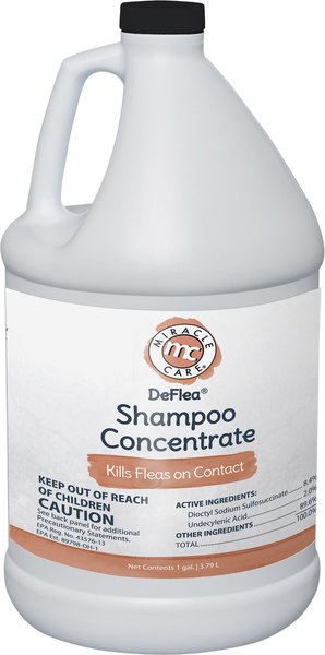 De flea shampoo for fashion dogs