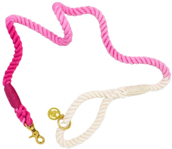 Pink Papyrus Maggie Pink Ombre Rope Dog Leash 4 ft Long