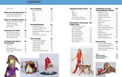 Dog Training 101: Step-by-Step Instructions for Raising a Happy, Well-Behaved Dog slide 2 of 5