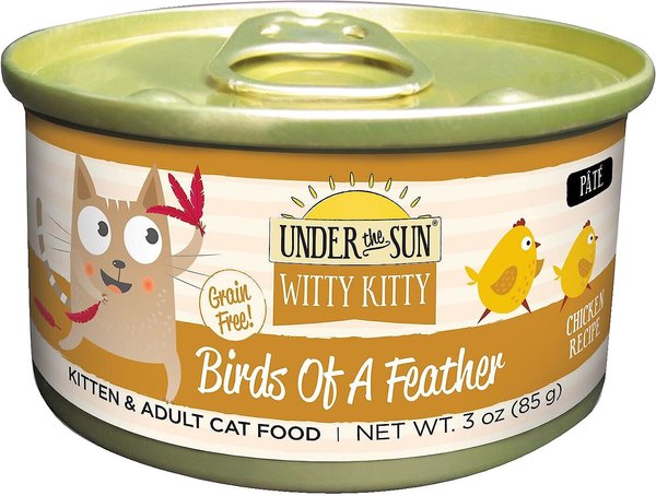 Witty kitty 2025 cat food