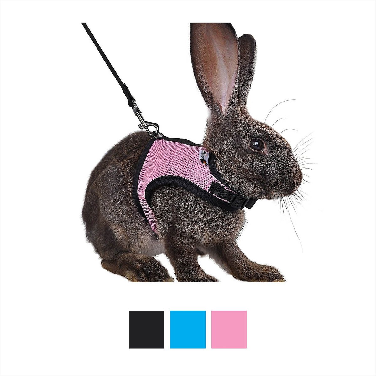 Niteangel hot sale rabbit harness