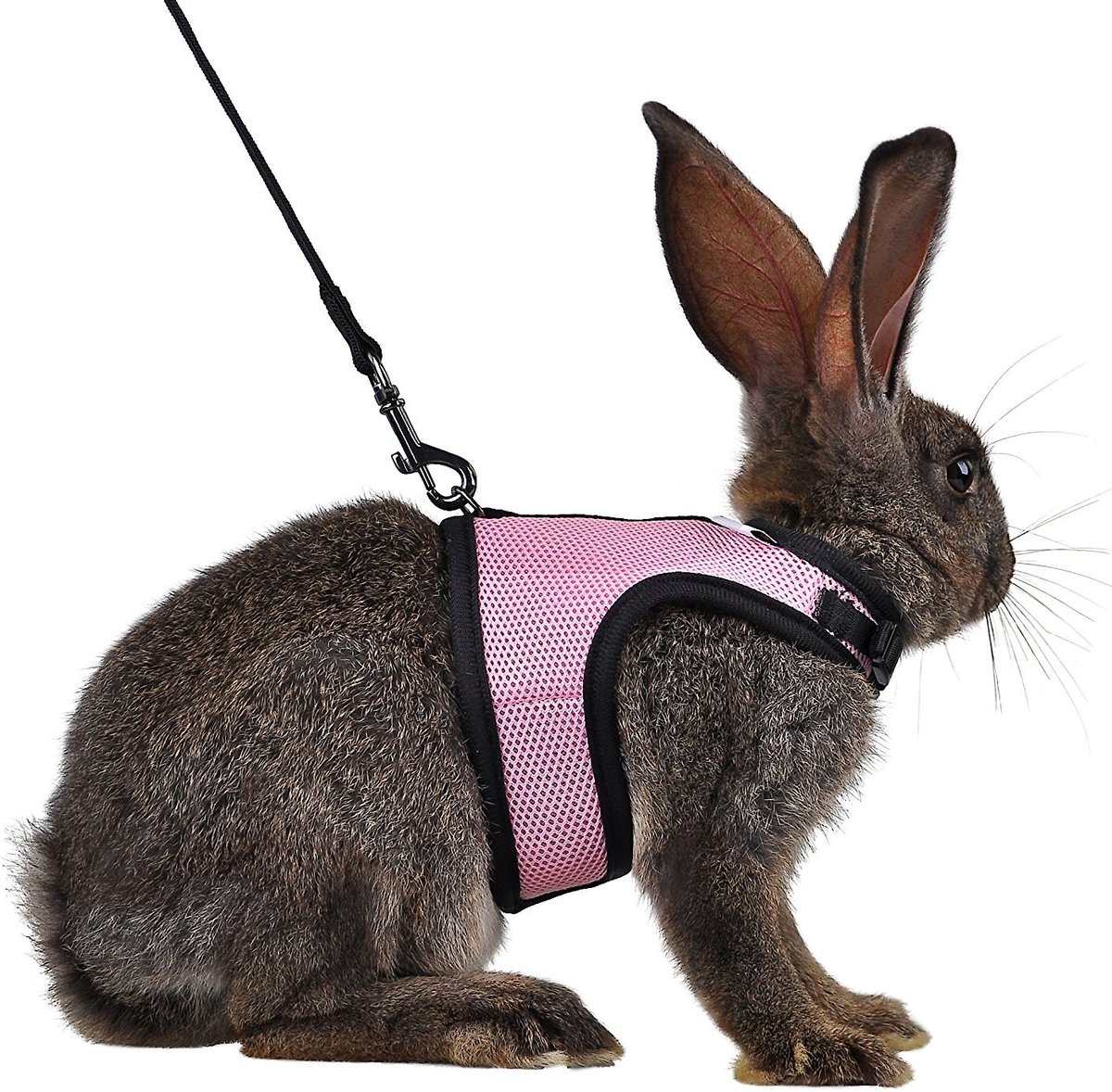 NITEANGEL Adjustable Soft Harness with Elastic Leash for Rabbits, Pink