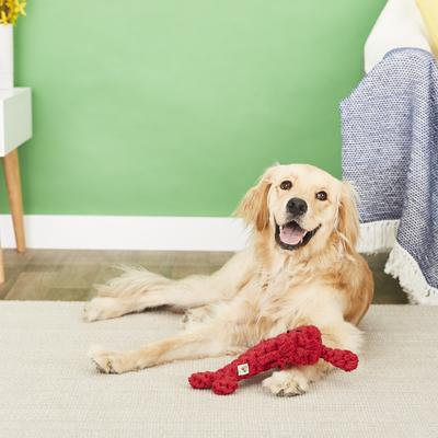Show full view: Jax and Bones Louie the Lobster Rope Dog Toy, Jumbo slide 4 of 7