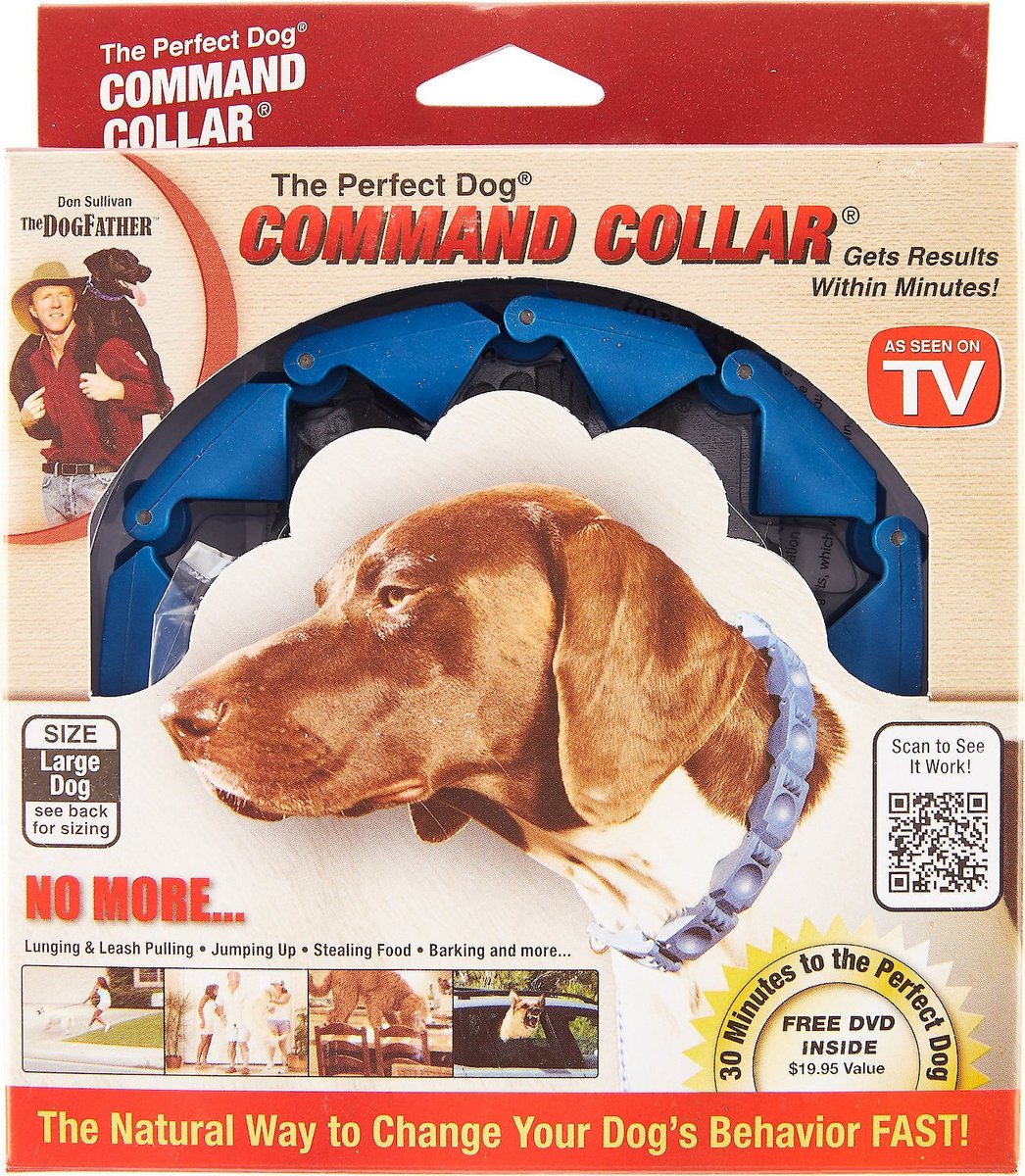 The perfect hot sale dog training collar