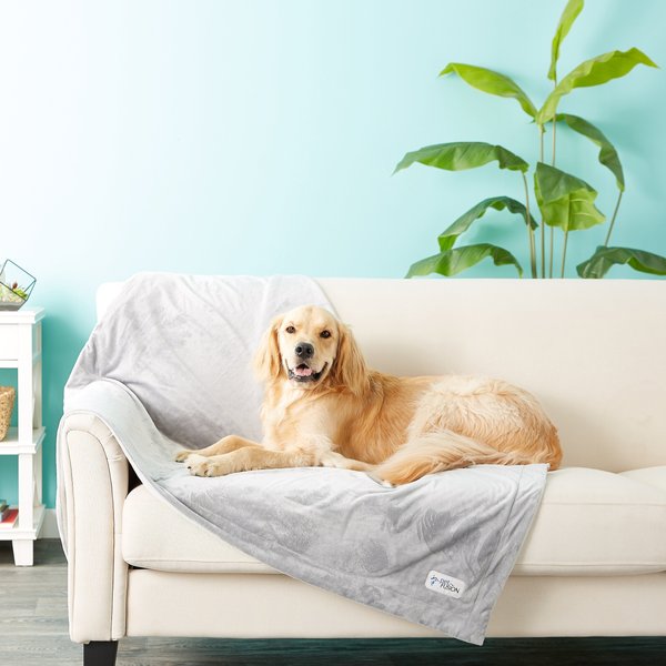 PetFusion Premium Reversible Dog & Cat Blanket, Gray, X-Large slide 1 of 9