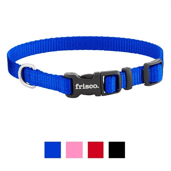 Frisco Solid Nylon Dog Collar, Blue, X-Small: 8 to 12-in neck, 3/8-in wide slide 1 of 7