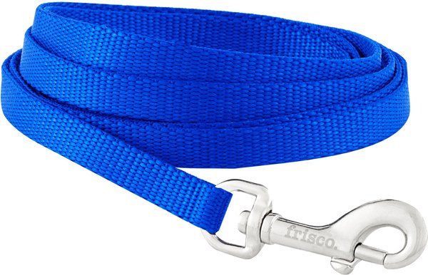 FRISCO Solid Nylon Dog Leash, Blue, X-Small: 6-ft long, 3/8-in wide ...