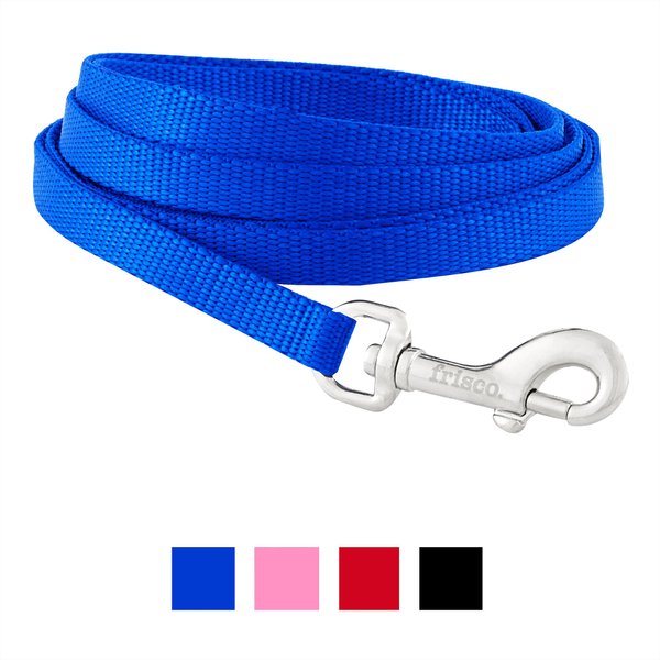 FRISCO Solid Nylon Dog Leash, Blue, X-Small: 6-ft long, 3/8-in wide ...