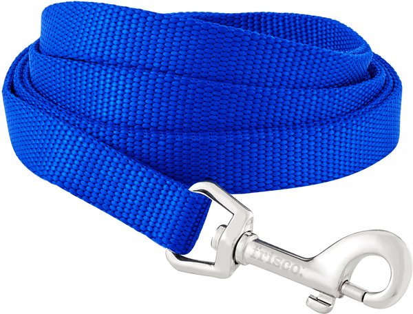 FRISCO Solid Nylon Dog Leash, Blue, Small: 6-ft long, 5/8-in wide ...