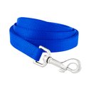 Frisco Solid Nylon Dog Leash, Blue, Medium: 6-ft long, 3/4-in wide