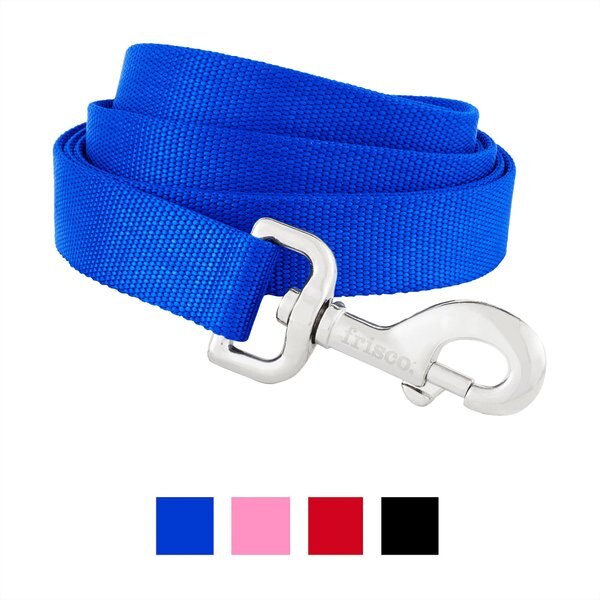 Frisco Solid Nylon Dog Leash, Blue, Large: 4-ft long, 1-in wide slide 1 of 6