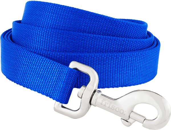 FRISCO Solid Nylon Dog Leash, Blue, Large: 6-ft long, 1-in wide - Chewy.com