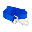 Frisco Solid Nylon Dog Leash, Blue, Large: 6-ft long, 1-in wide