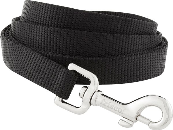 FRISCO Solid Nylon Dog Leash, Black, Medium: 6-ft long, 3/4-in wide ...