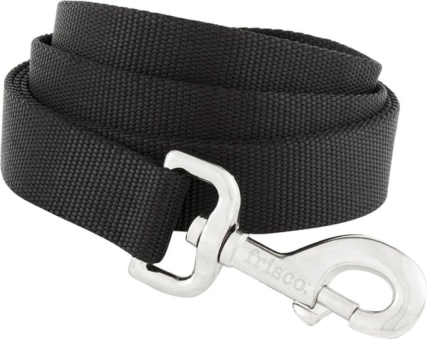 FRISCO Solid Nylon Dog Leash, Black, Large: 4-ft long, 1-in wide ...