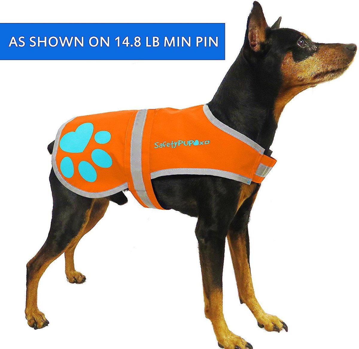 Chewy service outlet dog vest