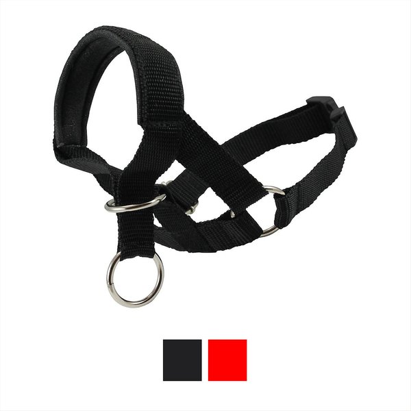 Dogs My Love Nylon Dog Headcollar, Black, X-Small: 7.5 to 9.5-in neck, 5/8-in wide slide 1 of 5