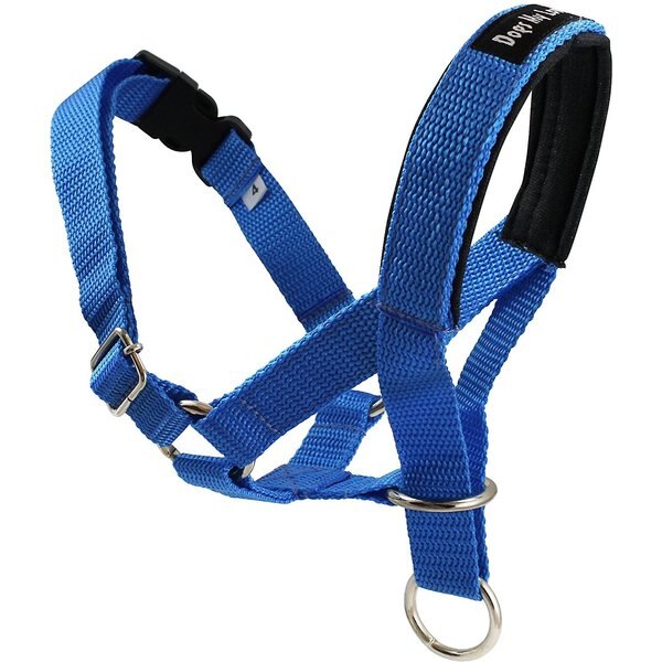 DOGS MY LOVE Nylon Dog Headcollar, Blue, Small 9.5 to 16in neck, 3/4