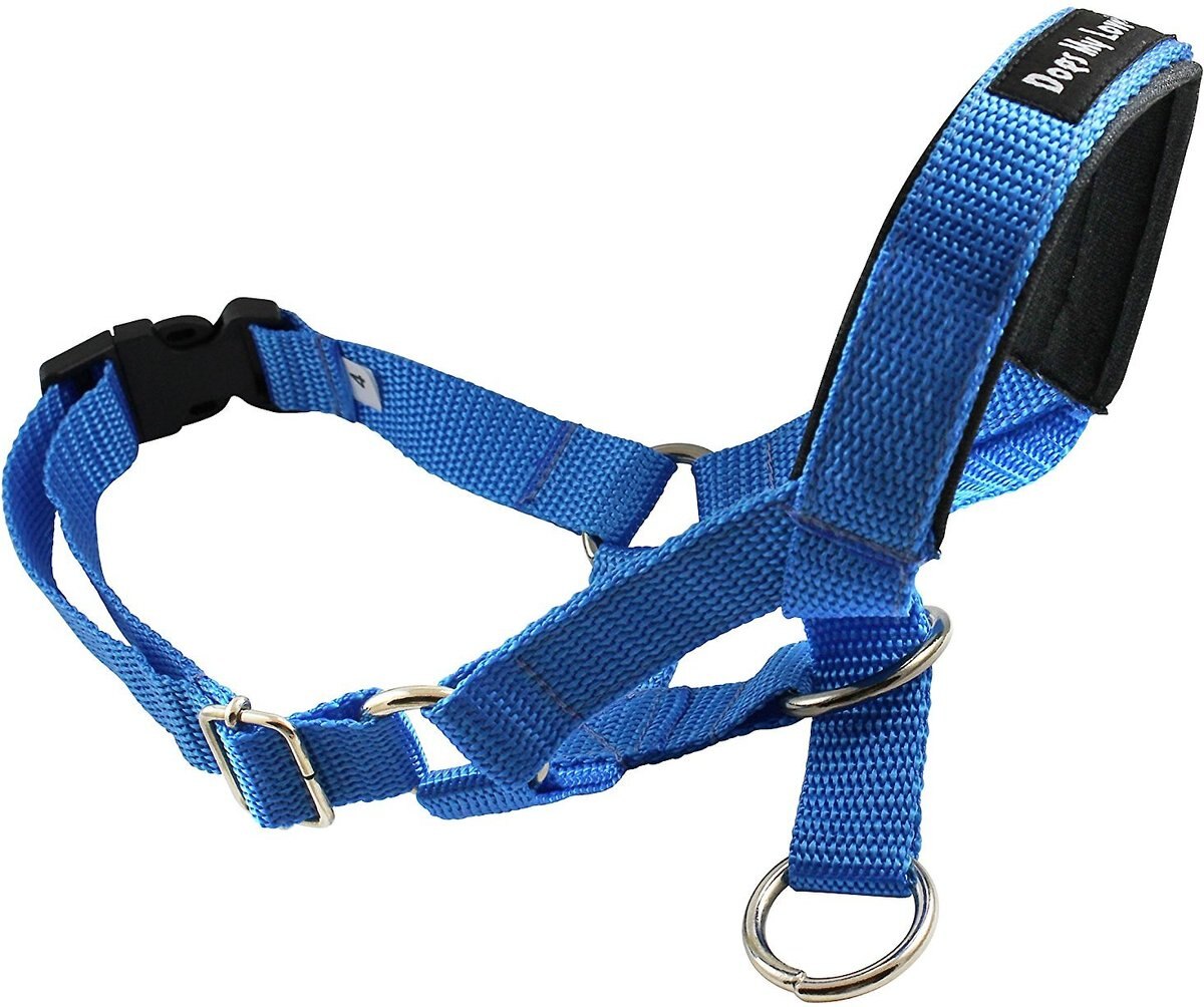 Dogs My Love Nylon Dog Headcollar