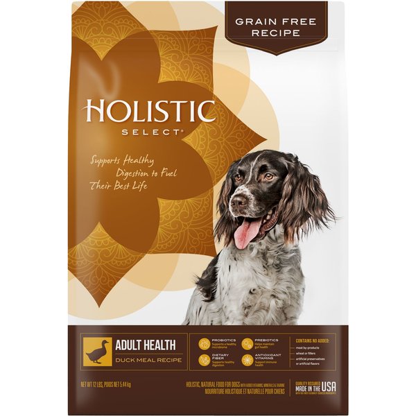 HOLISTIC SELECT Adult Health Anchovy, Sardine & Salmon Meals Recipe Dry