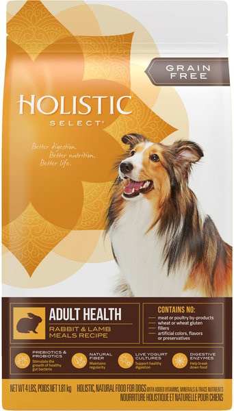 Holistic Select Adult Health Grain-Free Rabbit & Lamb Meal Dry Dog Food, 4-lb bag slide 1 of 10