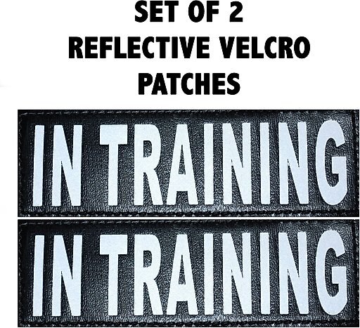 Doggie Stylz Dog In Training Dog Patch, 2 count, Medium