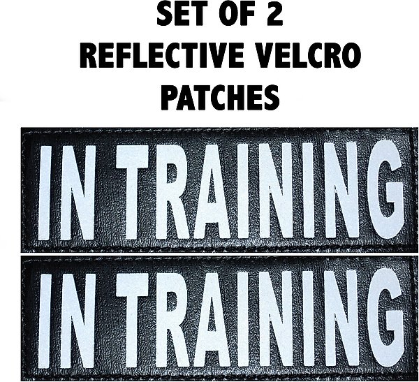Doggie Stylz Dog In Training Dog Patch, 2 count, Medium slide 1 of 3