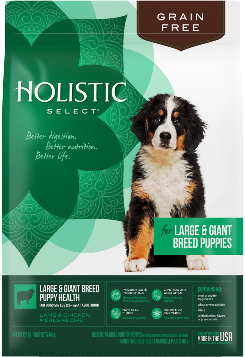 Holistic select 2024 dog food petco