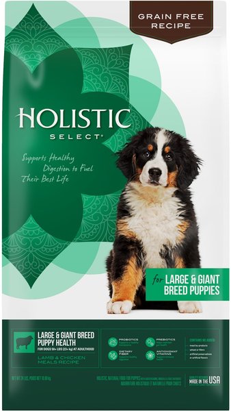 Holistic Select Large & Giant Breed Puppy Lamb & Chicken Meals Natural Grain-Free Dry Dog Food, 24-lb bag slide 1 of 10