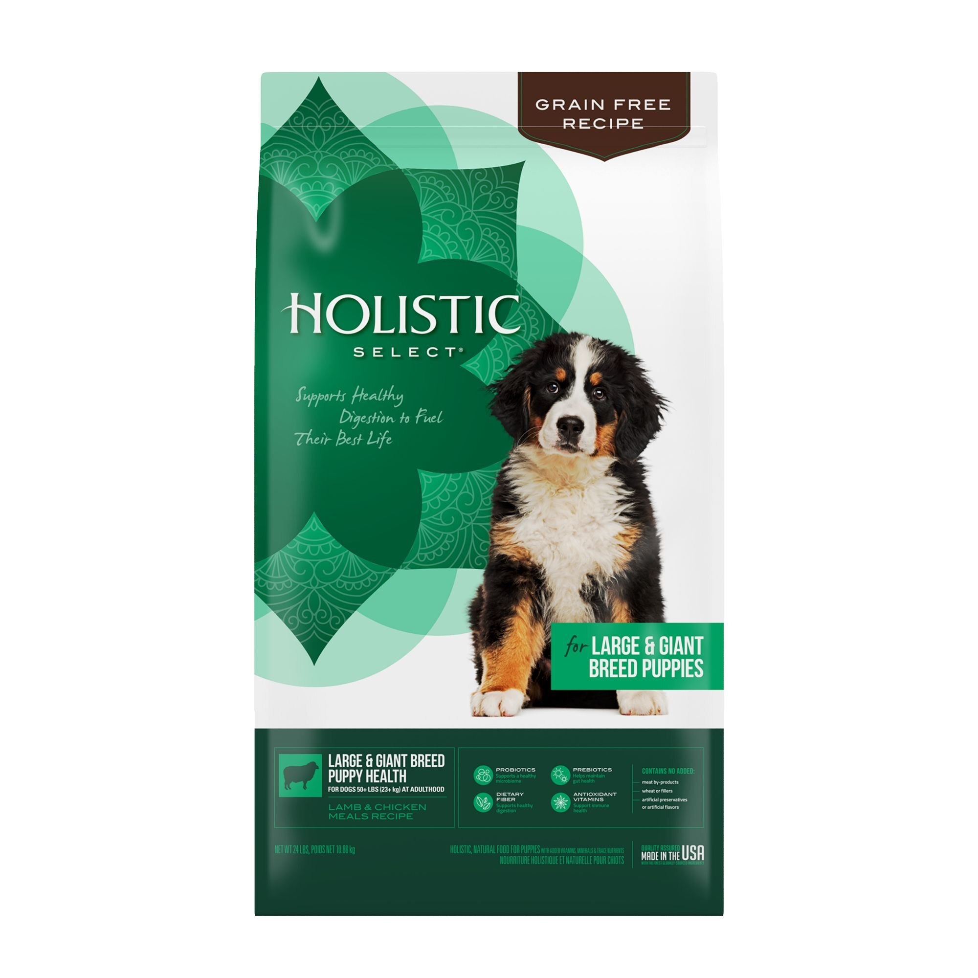 Dog food outlet advisor holistic select