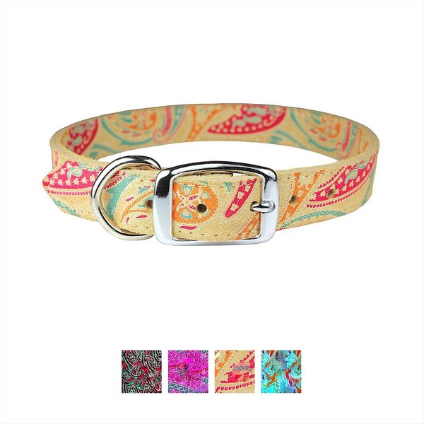 OMNIPET Paisley Leather Dog Collar, Sand, 12-in - Chewy.com