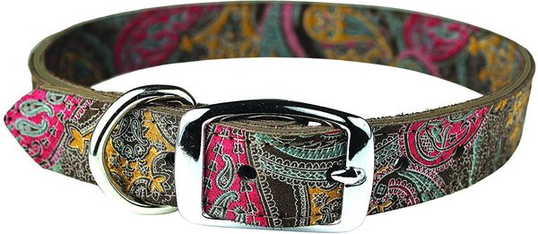OmniPet Paisley Leather Dog Collar, Chocolate, 20-in slide 1 of 2