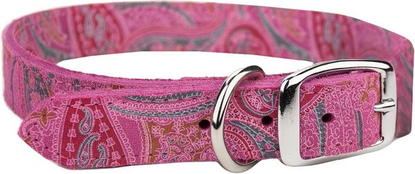 OMNIPET Paisley Leather Dog Collar, Pink, 20-in - Chewy.com