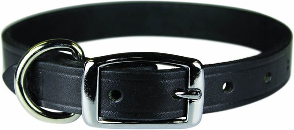 OMNIPET Latigo Leather Dog Collar Black 16 in Chewy