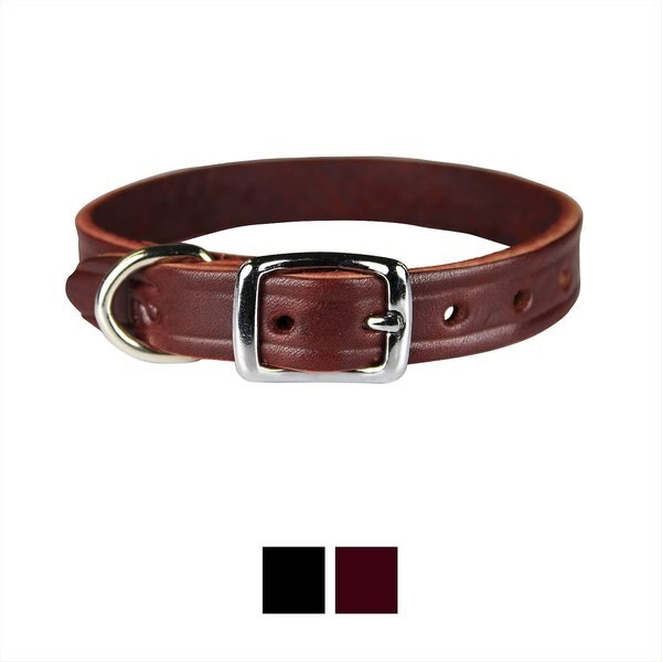 Chewy leather 2024 dog collars